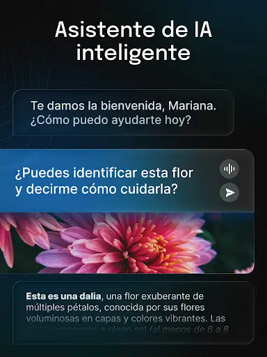 Captura de pantalla