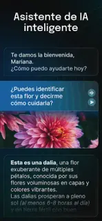Captura de pantalla
