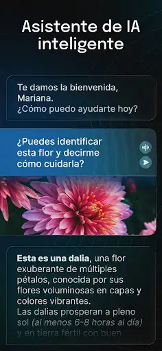 Captura de pantalla