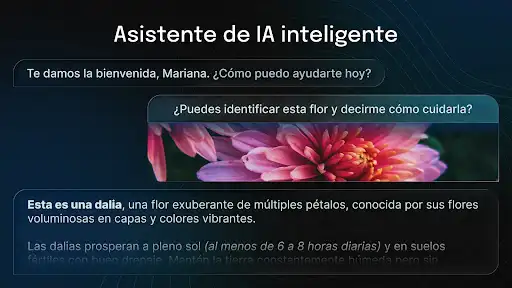 Captura de pantalla