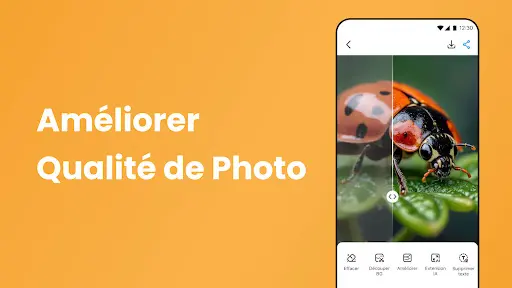 Capture d’écran