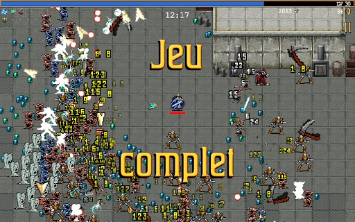 Capture d’écran