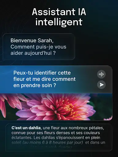 Capture d’écran