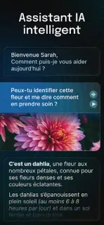 Capture d’écran