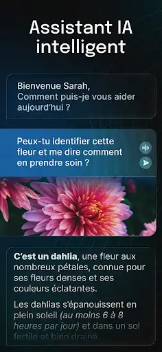 Capture d’écran