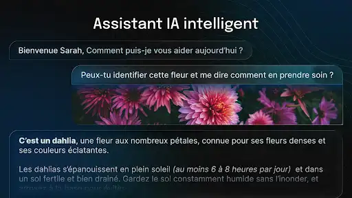 Capture d’écran