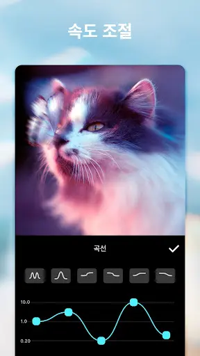 스크린샷