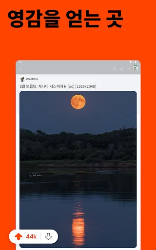 스크린샷