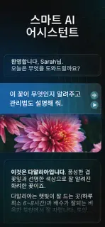 스크린샷